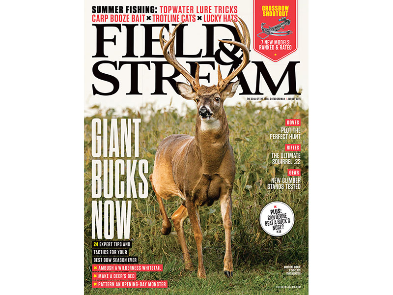 FieldandStream0814 Bonnier Corporation