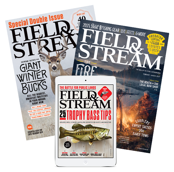 Field & Stream Bonnier Corporation