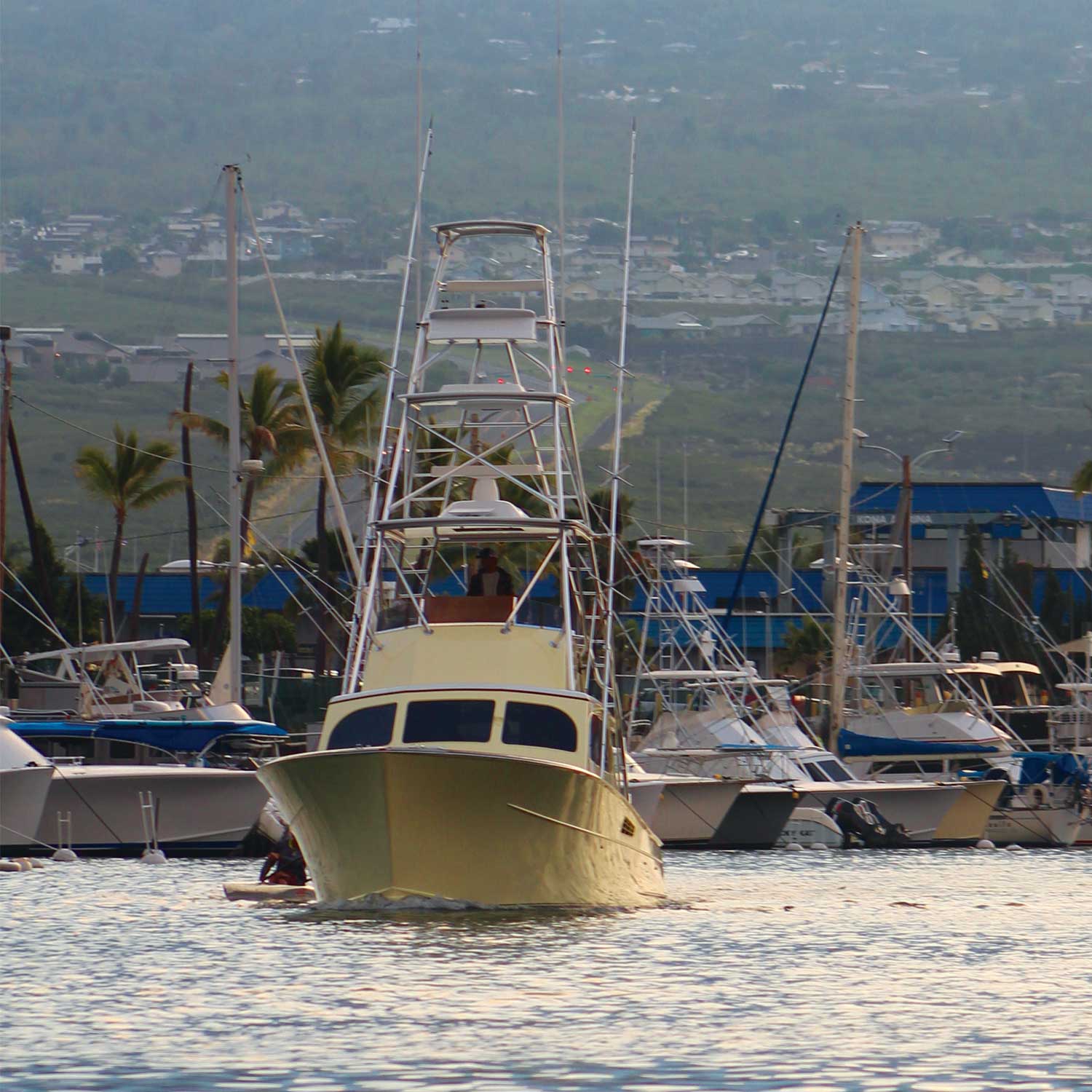 Sport-fishing boat fleet